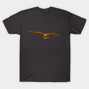 Coming at you Harris Hawk T-Shirt